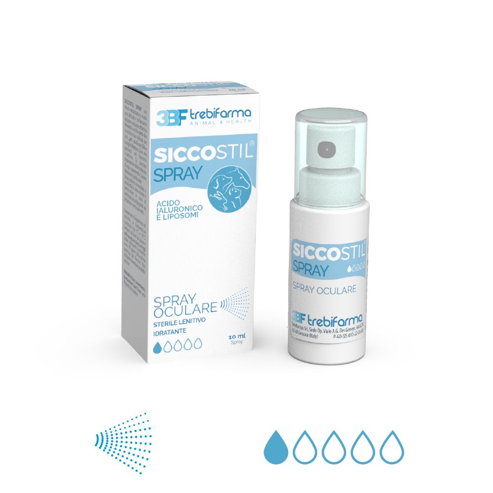 3BF_Siccostil_Spray