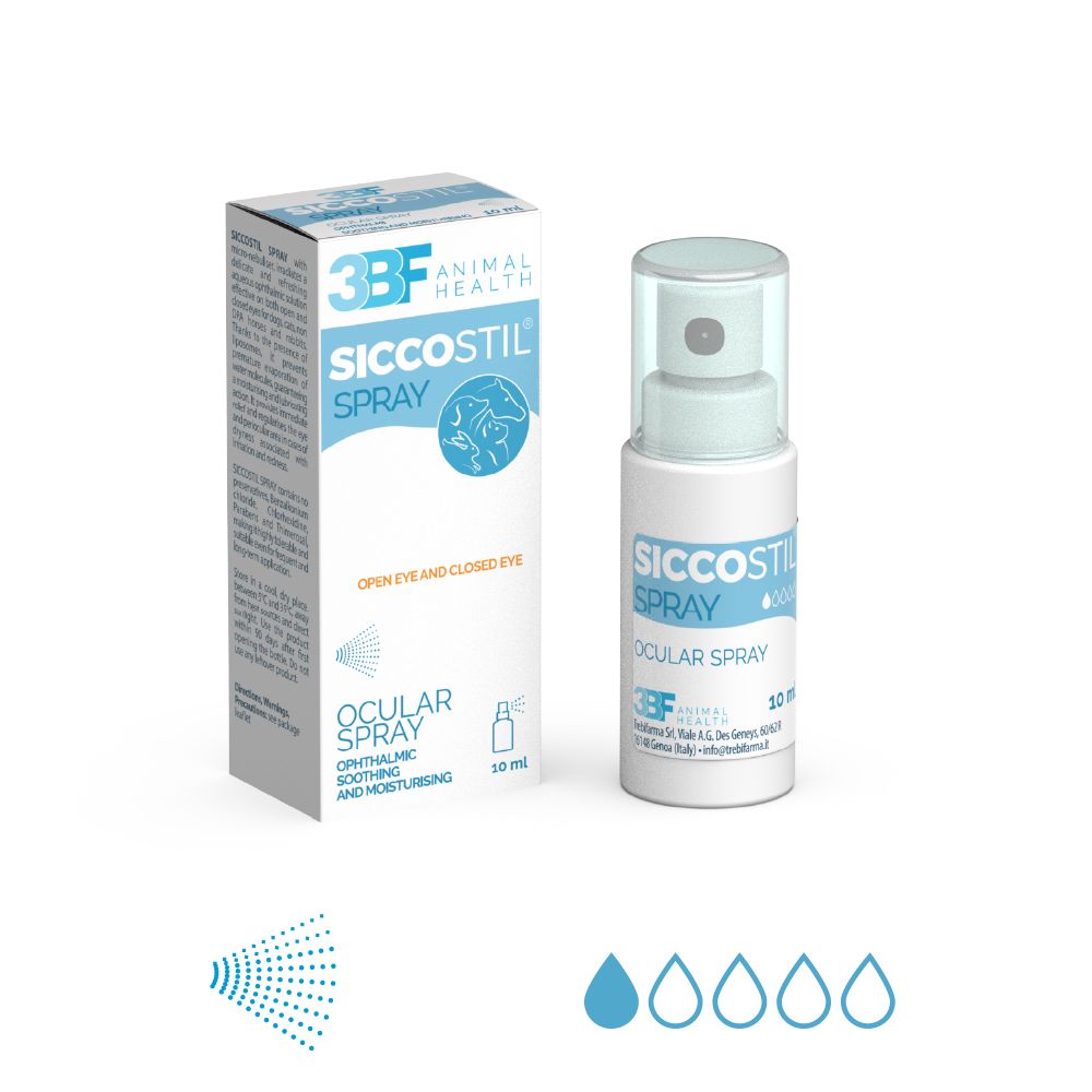 3BF_Siccostil_Spray