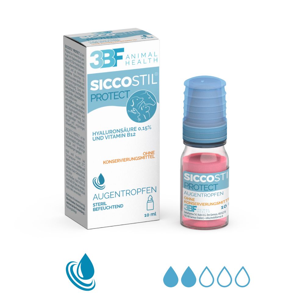 3BF_Siccostil_Protect