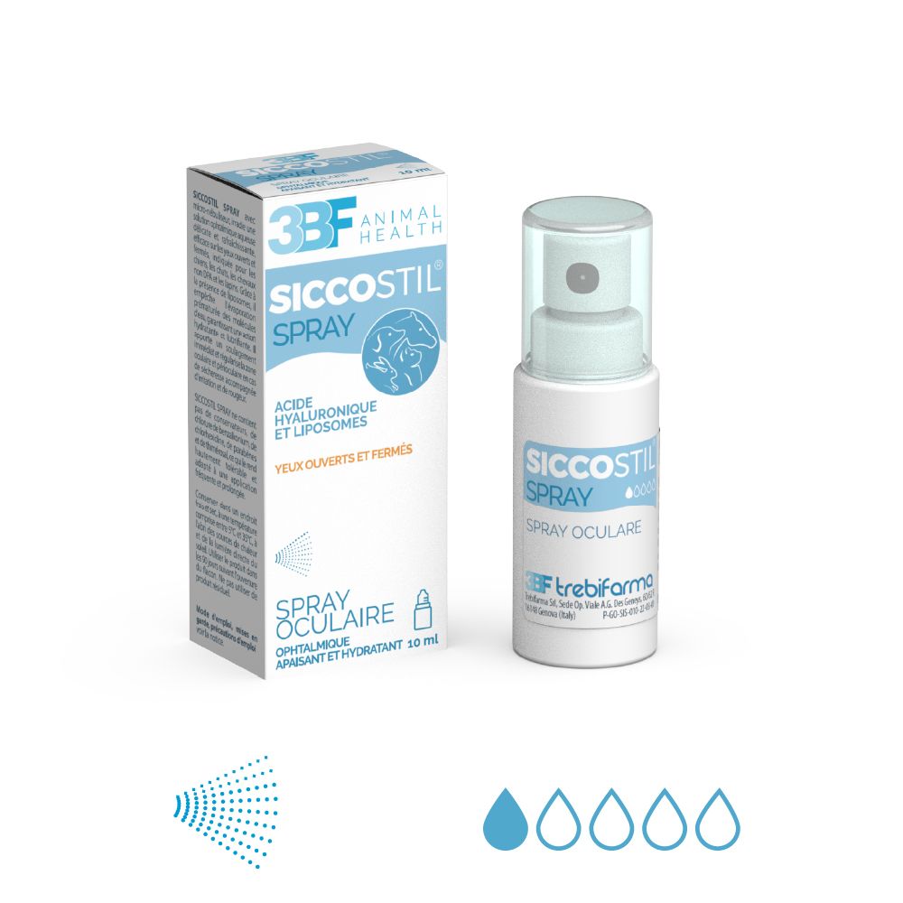 3BF_Siccostil_Spray