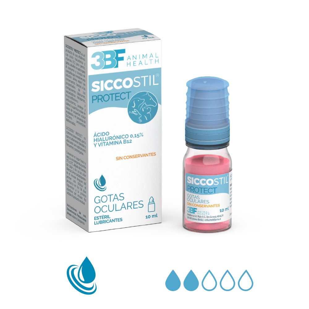 3BF_Siccostil_Protect