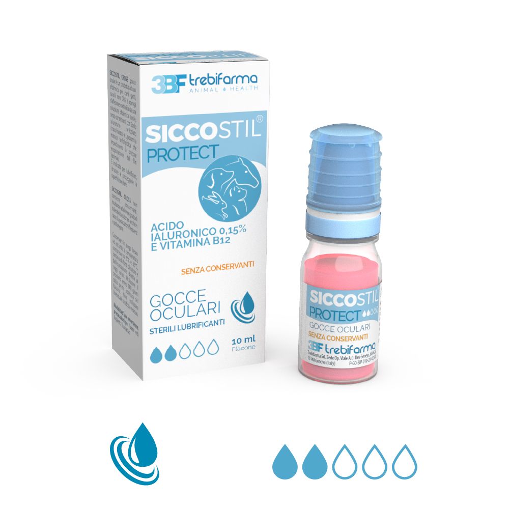 3BF_Siccostil_Protect