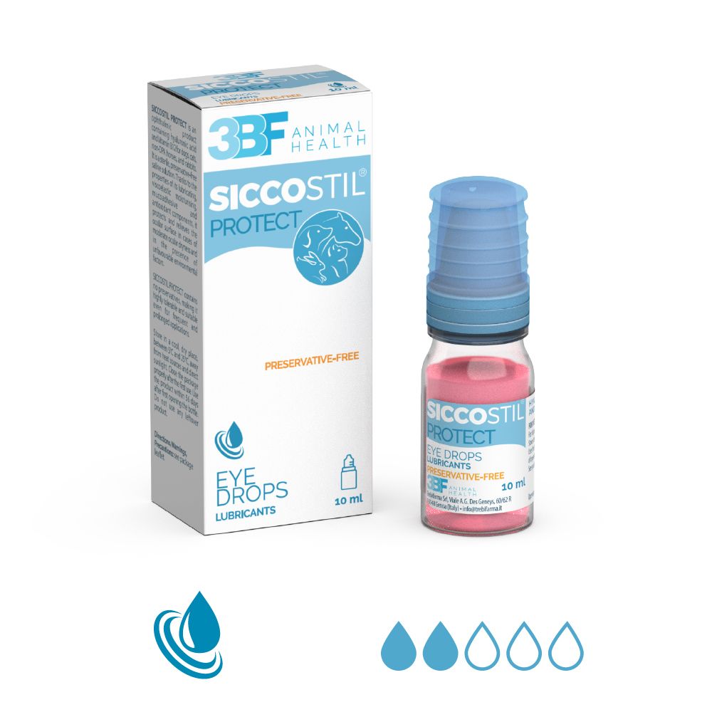 3BF_Siccostil_Protect