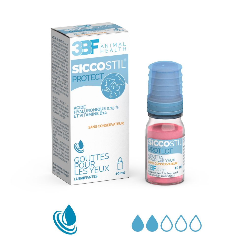 3BF_Siccostil_Protect